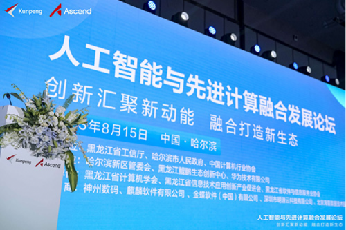 智算BB贝博艾弗森官网，BB贝博艾弗森官网领航！BB贝博艾弗森官网数码亮相黑龙江人工智能与先进计算融合发展论坛